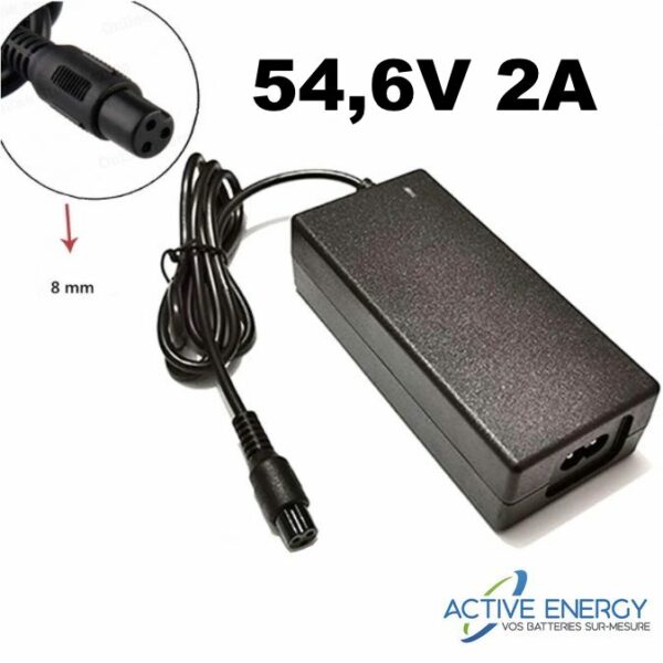 chargeur 8s hoverboard active energy 1